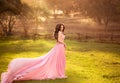 The girl in transparent pink dress Royalty Free Stock Photo