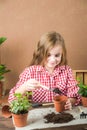 The girl transplants a pot with a flower. The girl in a plaid shirt in the hands of the land with heather ivy. Transplanting potte Royalty Free Stock Photo