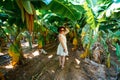 Girl traveler posing with Banana plantation, leaves, fruits and flowers, part of the tour and entertainment for the tourist Turkey