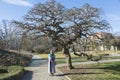 Girl and the tree Royalty Free Stock Photo