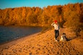 Girl with two border collie dog on beach at seaside. autumn yellow forest on background Royalty Free Stock Photo