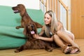 Girl with two Irish setters at home Royalty Free Stock Photo