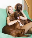 Girl with two Irish setters at home Royalty Free Stock Photo