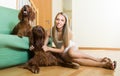 Girl with two Irish setters at home Royalty Free Stock Photo