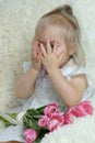 Girl of two years old, blonde is sitting in the room on the couch with a bouquet of pink tulips, covered her eyes with her hands, Royalty Free Stock Photo