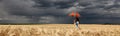 Girl with umbrella at field. in storm Royalty Free Stock Photo