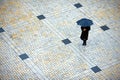 Girl with an umbrella