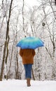 Girl under blue umbrella in snowy forest. Snowfall concept. Woman under wet snow rain in winter park. Royalty Free Stock Photo