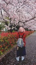 Girl under sakura trees