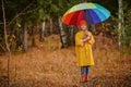 Girl under umbrella Royalty Free Stock Photo