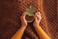 Girl under a warm blanket holding a white mug with a hot drink and a maple leaf in her hands Royalty Free Stock Photo