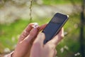 Girl uses her Mobile Phone outdoor, close up. Sunny day. Spring flowers. Beautiful Orchard. Royalty Free Stock Photo