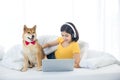 A girl is using a laptop computer with a Shiba Inu in her bedroom Royalty Free Stock Photo