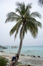 Girl in Vacation under a palm tree. Royalty Free Stock Photo