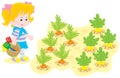 Girl in a vegetable garden Royalty Free Stock Photo