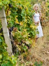 Girl in vineyard Royalty Free Stock Photo