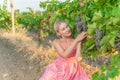 Girl in vineyard and mountains sky earth vineyard green, food country valley harvest beverage, barrel glass. Beautiful Royalty Free Stock Photo