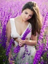 Girl in violet field Royalty Free Stock Photo