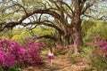 Girl walking alone in the beautiful blooming garden under oak trees. Royalty Free Stock Photo