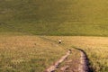 The girl is walking along the road to the field alone. The figure of a girl on the background of a green hill Royalty Free Stock Photo