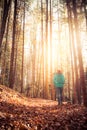 Hiking in the forest, autumn time. Girl is walking in autumnal forest, colorful leaves and sunbeam Royalty Free Stock Photo