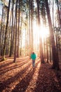 Hiking in the forest, autumn time. Girl is walking in autumnal forest, colorful leaves and sunbeam Royalty Free Stock Photo