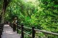 The Girl walking in the bridge and enjoying the tourism in through the mangrove forest. Waterfall Than Bok Khorani Nature Trail.