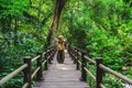 The Girl walking in the bridge and enjoying the tourism in through the mangrove forest. Waterfall Than Bok Khorani Nature Trail.