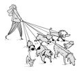 Girl walking a bunch of dogs vector illustration. Dog walker