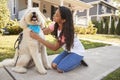 Girl Walking Dog Along Suburban Street Royalty Free Stock Photo