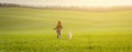 Girl walking dog on green field Royalty Free Stock Photo