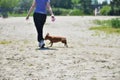 A girl is walking with a dog in the woods, out of focus Royalty Free Stock Photo