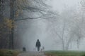 Girl walking in the fog through an alley with her dog in Obninsk Royalty Free Stock Photo