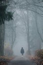 Girl walking in the fog through an alley with her dog in Obninsk Royalty Free Stock Photo