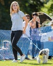 A girl walking her dog in the park at a dog show.