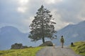 Girl walking with her dogs near Oeschinensee, Kandersteg. Switzerland Royalty Free Stock Photo