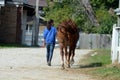Girl walking horse on the farm Royalty Free Stock Photo