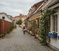 Girl walking in a narrow alley with roses