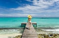 Girl walking on wooden bridge extended into the se