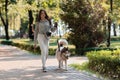 A girl walks with a dog in the park. Advertising of products for animals. Outdoor.activities Royalty Free Stock Photo