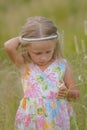 A girl walks on the field, tearing chamomile and wonders summer day