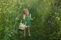 The girl walks among the tall grass and flowers. A child carries a basket of wildflowers. Royalty Free Stock Photo