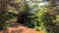 Girl walks through the woods of the heritage site where Anne of Green Gables took place.