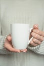 Girl in warm sweater is holding white mug in hands.. Mockup for winter gifts design. Royalty Free Stock Photo