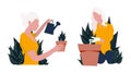 Girl watering flowers. Woman replants houseplants. illustration on a white background