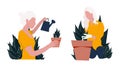 Girl watering flowers. Woman replants houseplants. Vector illustration on a white background