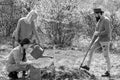 Girl watering plants in the garden at spring sunny day. Group of youth work in spring yard with garden tools. Friends Royalty Free Stock Photo