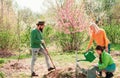 Girl watering plants in the garden at spring sunny day. Group of youth work in spring yard with garden tools. Friends Royalty Free Stock Photo