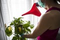 Girl watering the plants at home protected with the protective mask and gloves. Coronavirus, covid-19 Royalty Free Stock Photo