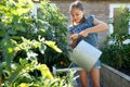 Young Girl Watering Raised Vegetable Beds At Home With Watering Can